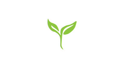 Fototapeta premium leaf on transparent background