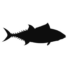 Vector silhouette of a realistic Tuna fish (Tunny) - black animal illustration, isolated on white background