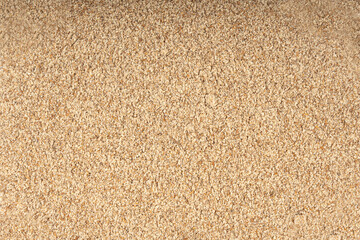 Milk thistle seeds powder, crushed silybum marianum grains pile, milled dry blessed milkthistle