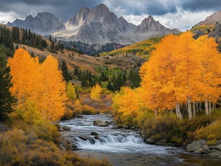 Majestic autumn landscape with golden aspen trees and flowing river against a backdrop of rugged mountains and cloudy sky