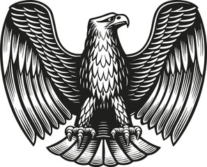 Fototapeta premium Majestic black and white eagle vector detailed illustration