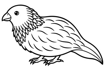 Graceful Kestrel Drawing