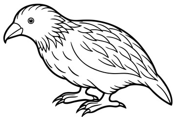 Graceful Kestrel Drawing