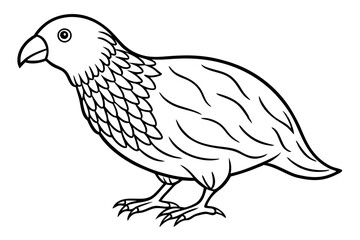 Graceful Kestrel Drawing