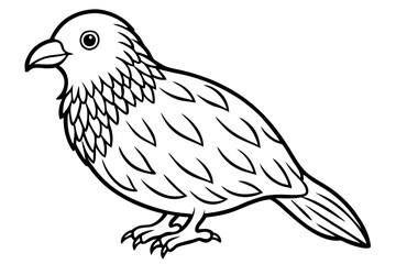 Graceful Kestrel Drawing