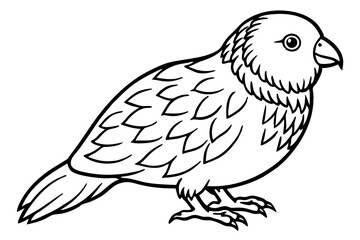 Graceful Kestrel Drawing