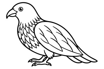 Fototapeta premium Graceful Kestrel Drawing