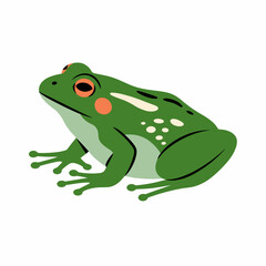 Minimalist Chorus Frog Vector with Playful Accents