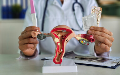 Health protection and safety of female condom, uterus, ovaries vagina. Sexual safety concept and...