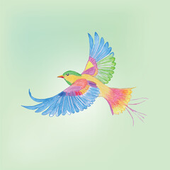 Colorful Flying Bird Illustration with Vibrant Wings and Soft Green Background