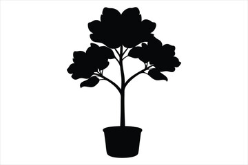 Obraz premium fiddle leaf fig tree silhouette vector