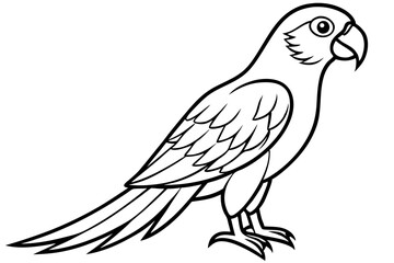 Graceful Macaw Silhouette
