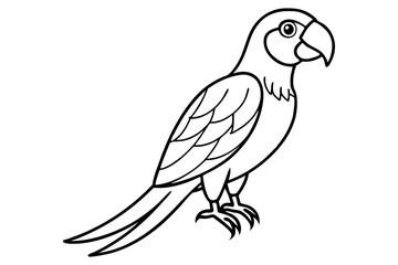 Graceful Macaw Silhouette