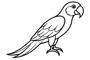 Fototapeta premium Graceful Macaw Silhouette