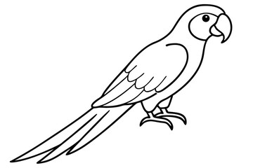 Fototapeta premium Graceful Macaw Silhouette