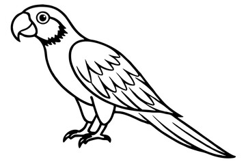 Graceful Macaw Silhouette