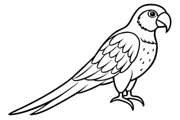 Fototapeta premium Graceful Macaw Silhouette