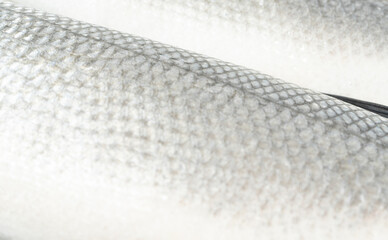 Fish scales texture background, sea bass skin close up, macro shot of silver labrax scale © ange1011