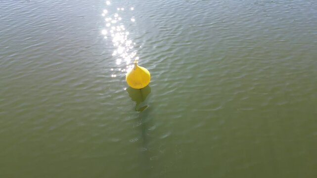 Drone view of a beautiful park and water pond in Brussels in a calm spring maring