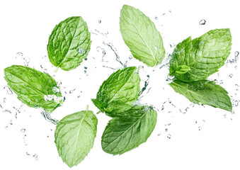 Fresh mint leaves splashing in water, creating a vibrant and refreshing scene, ideal for culinary or health-related use