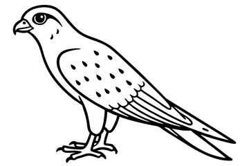 Fototapeta premium Kestrel Abstract Linework