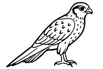 Fototapeta premium Kestrel Abstract Linework