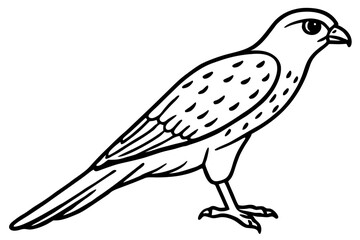 Kestrel Abstract Linework