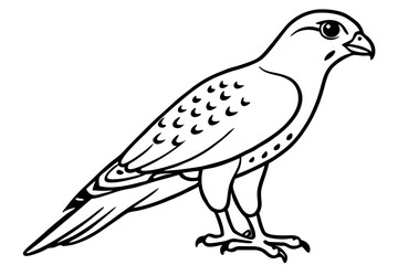 Kestrel Abstract Linework
