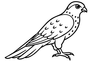 Kestrel Abstract Linework
