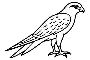 Fototapeta premium Kestrel Abstract Linework