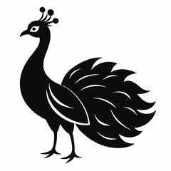Graceful Peacock in Silhouette – Vector Design