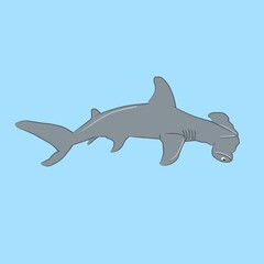 shark vector illustration