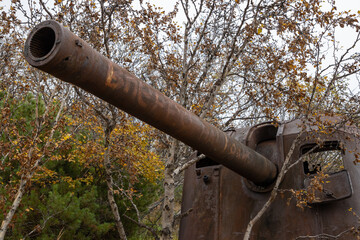 Old abandoned artillery gun in the forest. Rusty broken cannon. On the barrel is the text in...