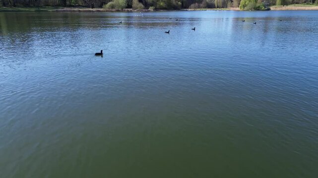 Drone view of a beautiful park and water pond in Brussels in a calm spring morning low vantage point
