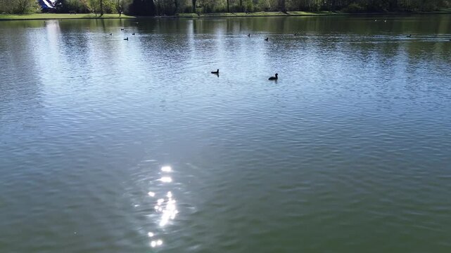 Drone view of a beautiful park and water pond in Brussels in a calm spring morning low vantage point