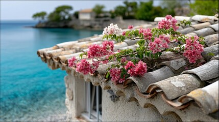 Beautiful coastal view with vibrant pink flowers against clear blue water and charming rustic architecture
