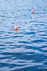 Plastic red bouy on a calm lake - concept image with copy space