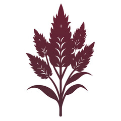 amaranth flower silhouette on white background