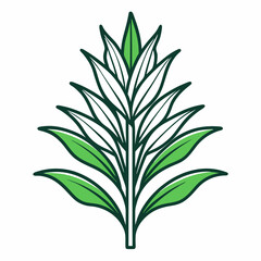 anthericum flower line art  on white background