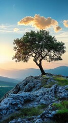 Lone tree on a mountain peak with a sunset sky.