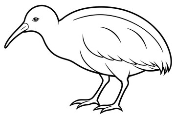 Kiwi Bird Sketch Vector