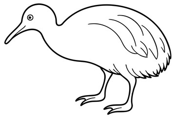 Kiwi Bird Sketch Vector