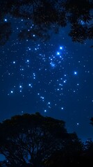 Fototapeta premium A visionary dream written in the stars