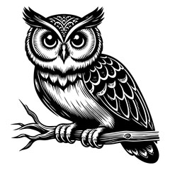 Owl Black And White Outline Vector
