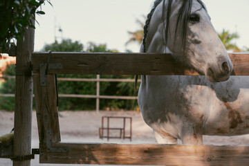 Grace and Freedom on the Open Land