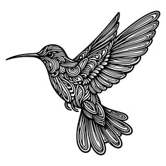 Hummingbirds Black And White Vector