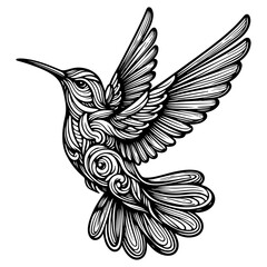 Hummingbirds Black And White Vector