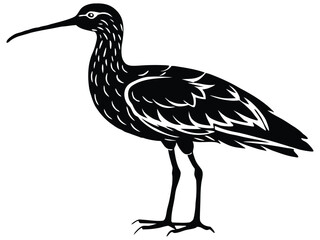 curlew silhouette vector illustration