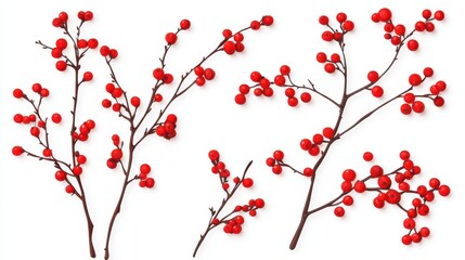 Elegant depiction of vibrant red winterberry branches on pristine white background for festive seasonal designs and botanical illustration projects