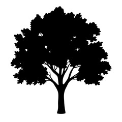 Dramatic black silhouette of a tree against a stark white background